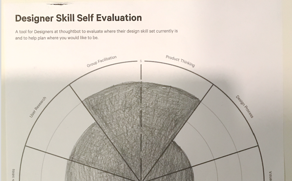 Filled out sample of the Skill Self-evaluation